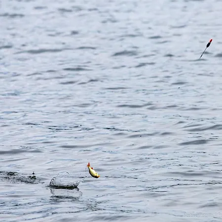 Séjour chez l'habitant Herta - Letniskowy *